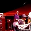 Johnny Winter Live